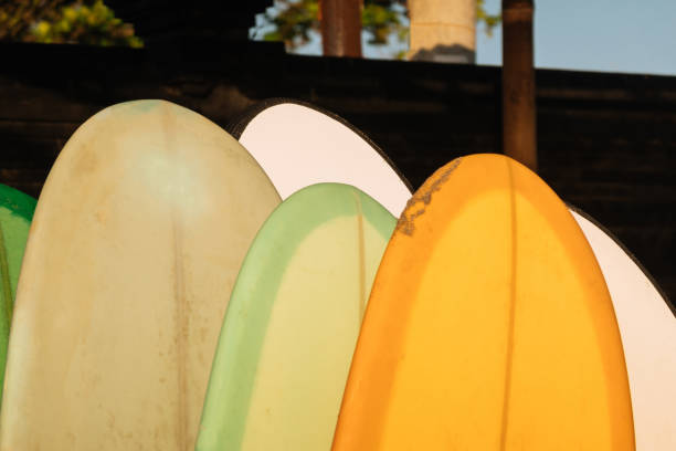 istock Set of different color surf boards in a stack by ocean.Bali.Indonesia. Surf boards on sandy beach for rent. Surf lessons on Weligama beach, Sri Lanka. 1219981174