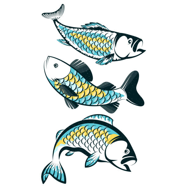 ilustrações de stock, clip art, desenhos animados e ícones de fish silhouette set for fishing - tuna silhouette fish saltwater fish