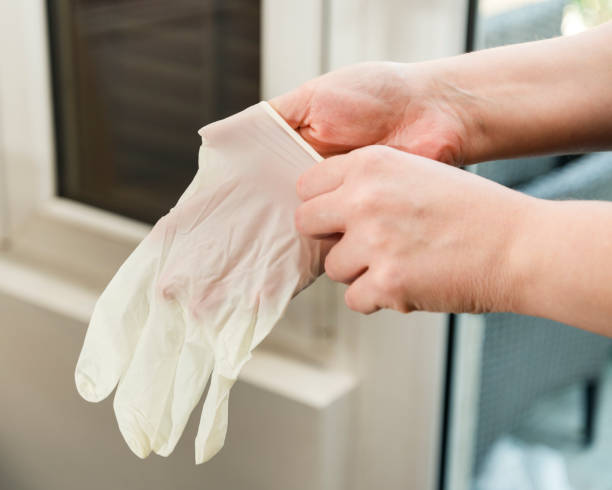 Hands of person putting on a medical gloves at home adult, arm, care, cleaning, corona, covid-19, covid19, dirty, disposable, doctor, female, glove, gloves, hand, health, health care, home, hospital, human, hygiene, hygienic, infectious, injection, isolated, lab, latex, male, medic, medical, medical exam, medically, medication, medicine, pandemic, person, protection, protective, putting, putting on, quarantine, risk, rubber, safety, sanitary, sterile, stretch, surgeon, surgical, surgical glove, surgical gloves putting on latex gloves stock pictures, royalty-free photos & images