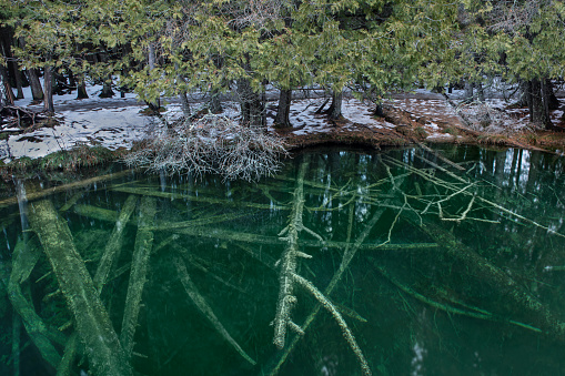 Roots and Fallen Trees in Clear Blue Water of an Underground Spring in Manistique, MI, United States