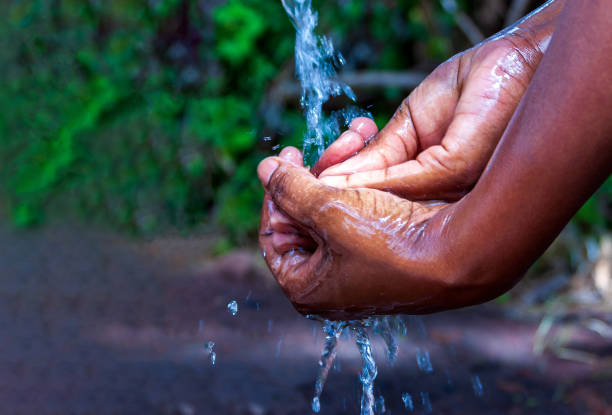 istock Washing hands with running water and soap 1219982198