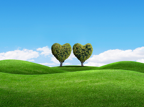 Two trees in the shape of hearts grow on a rolling set of grass covered hills under idyllic blue skies.