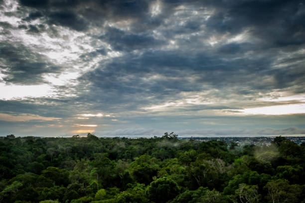 istock Cities of Brazil - Manaus, Amazonas state capital 1219983861