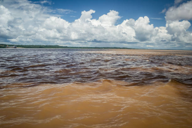 istock Cities of Brazil - Manaus, Amazonas state capital 1219983919