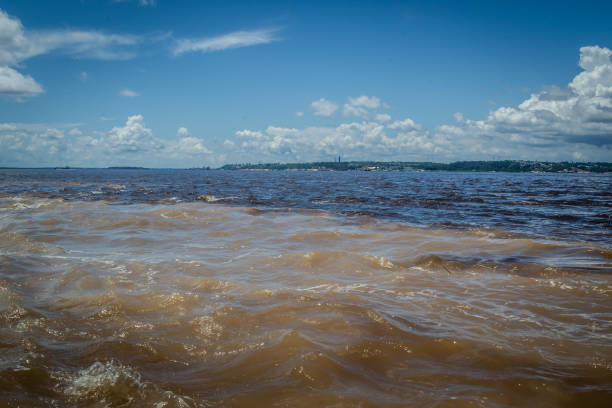 istock Cities of Brazil - Manaus, Amazonas state capital 1219983926