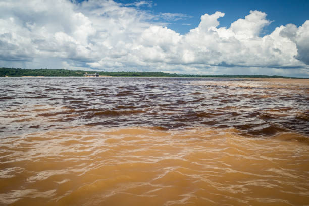 istock Cities of Brazil - Manaus, Amazonas state capital 1219983929