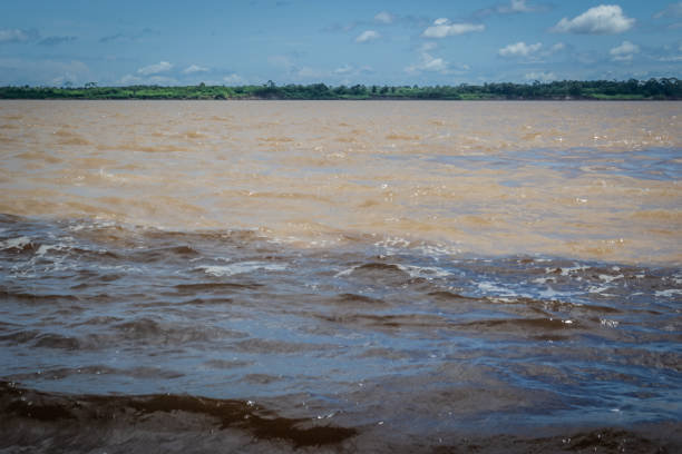 istock Cities of Brazil - Manaus, Amazonas state capital 1219983930