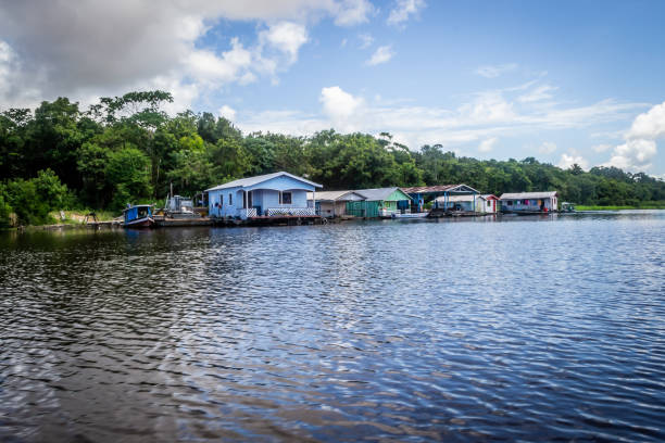 istock Cities of Brazil - Manaus, Amazonas state capital 1219983942