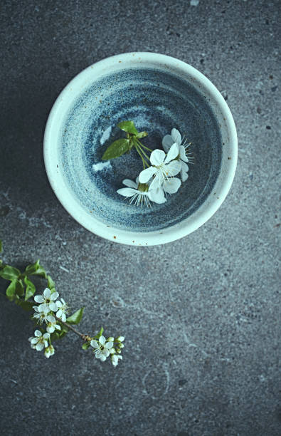 istock White spring blossom in a blue ceramic bowl. Still life. Copy space 1219985295