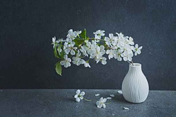 istock Blooming cherry branch in a ceramic vase. still life. copy space 1219985376