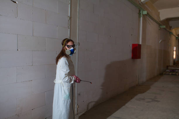 istock employee in a suit sprays  room from infection 1219986877
