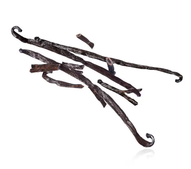 Photo of Dried vanilla sticks frozen in the air, isolated on a white background.