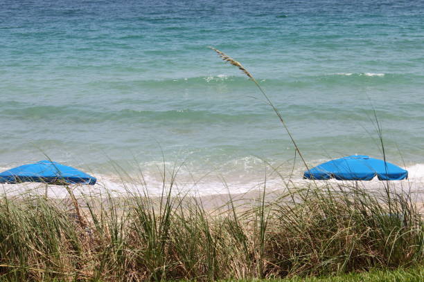 istock Fort Lauderdale, Florida 1219990142
