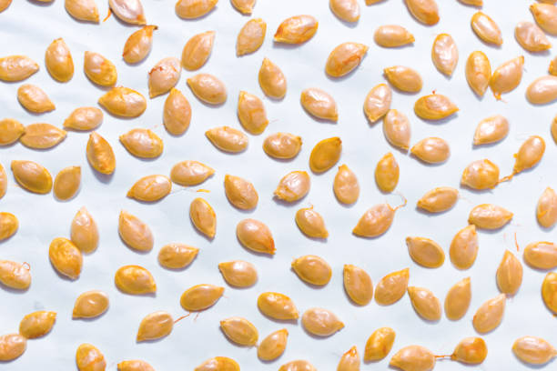 on a white background spread out pumpkin seeds an abstract picture for the background