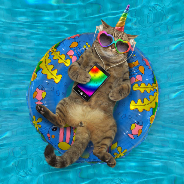 istock Cat listens to music on blue ring 1219993600