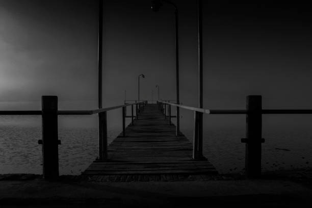istock Fishing in the fog 1219993725