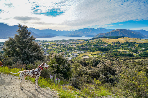 Wanaka, Otago, New Zealand.