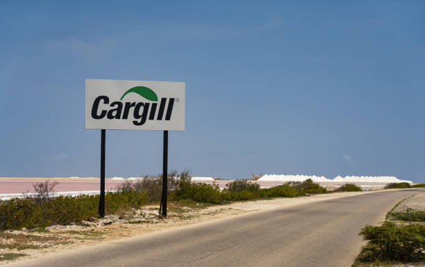 sea salt is harvest from the saltpans on bonaire by cargill - cargill, incorporated imagens e fotografias de stock