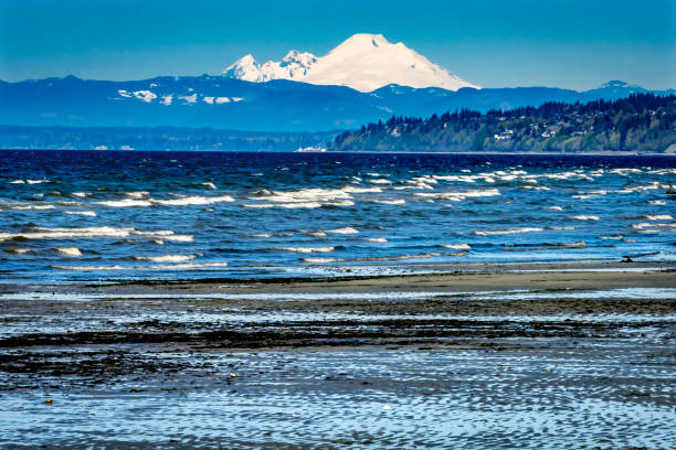 istock Mount Baker Bracketts Landing North Beach Park Edmonds Washington 1219995440