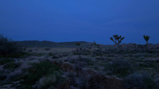 The desert of Nevada by night