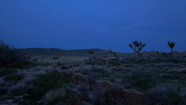 пустыня невада ночью - road long dirt footpath стоковые фото и изображения
