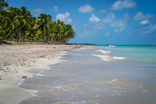 istock Beaches of Brazil - Maragogi, Alagoas state 1219996874