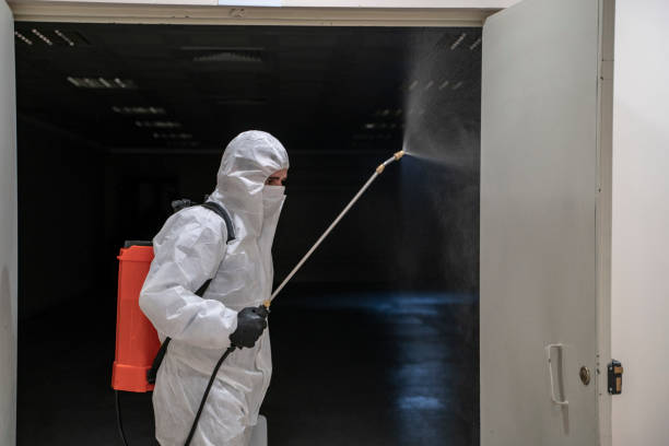 istock Corona studies disinfection in the fight against virus 1219996902