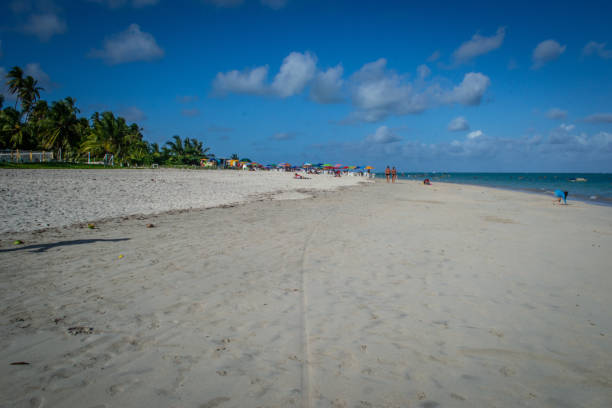 istock Beaches of Brazil - Maragogi, Alagoas state 1219996910