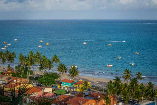 istock Beaches of Brazil - Maragogi, Alagoas state 1219996925