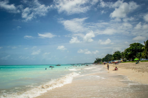 istock Beaches of Brazil - Maragogi, Alagoas state 1219996948