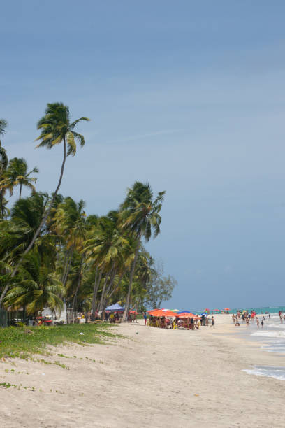 istock Beaches of Brazil - Maragogi, Alagoas state 1219996962