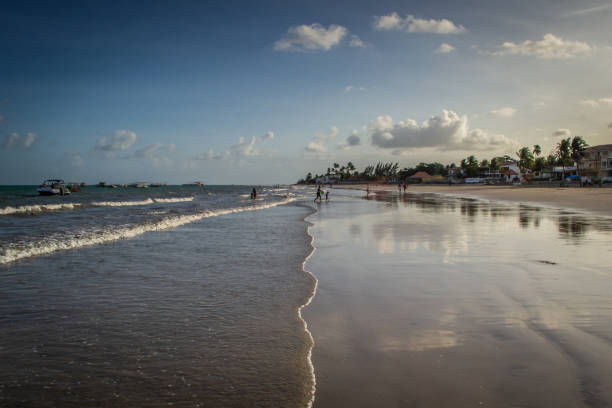 istock Beaches of Brazil - Maragogi, Alagoas state 1219996998
