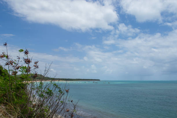 istock Beaches of Brazil - Maragogi, Alagoas state 1219997027