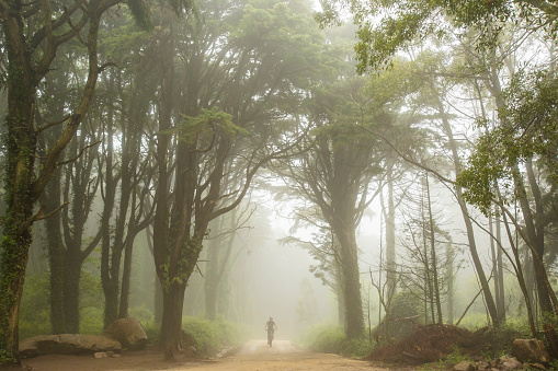 Mountain biker riding his bike on country road in Portugal on misty day with moody trees around him.