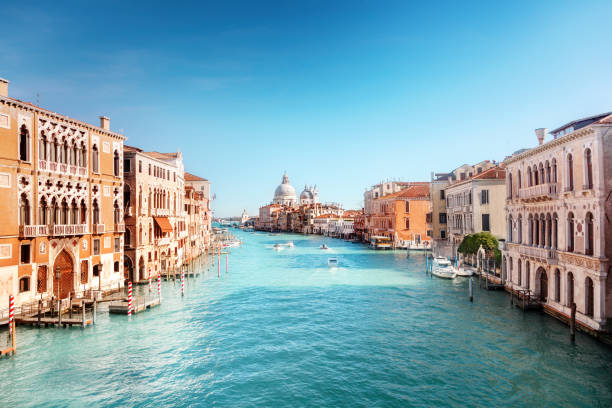 istock Santa Maria della Salute, Venice 1219998270