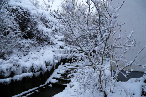 istock The path with steps at the house is cleared of snow 1219999751