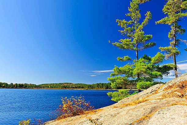 istock Lake shore in Ontario, Canada 122000071