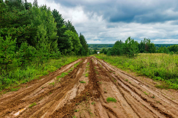istock dirt road in the countryside on a cloudy summer day 1220001209