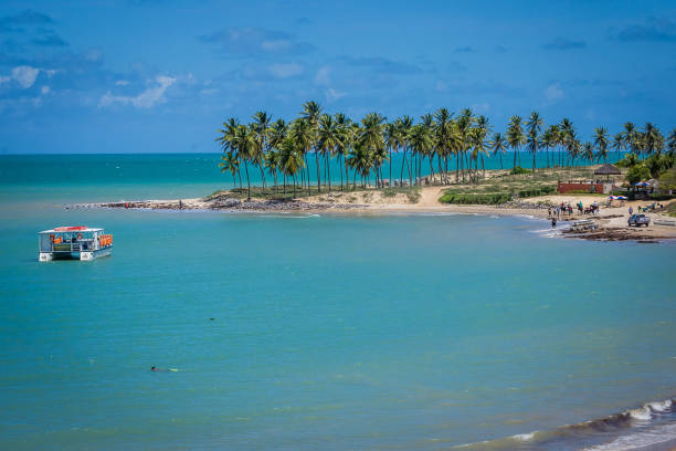 istock Beaches of Brazil - Maracajau RN 1220002494