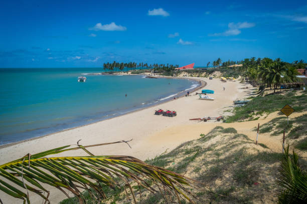 istock Beaches of Brazil - Maracajau RN 1220002495