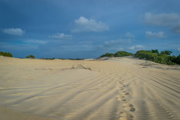 istock Beaches of Brazil - Genipabu/RN 1220002496
