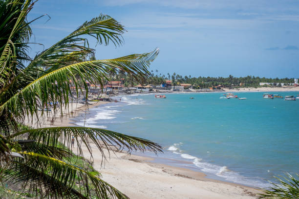 istock Beaches of Brazil - Maracajau RN 1220002501