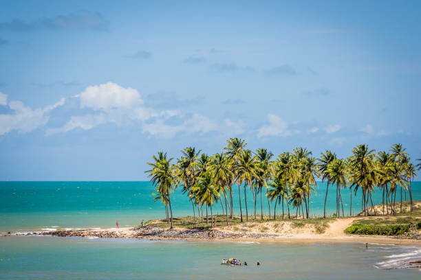 Beaches of Brazil - Maracajau RN Maracajau (Tupi) is a community and beach located in the Brazilian city of Maxaranguape, state of Rio Grande do Norte (about 50 km from the state capital, Natal). maceio photos stock pictures, royalty-free photos & images