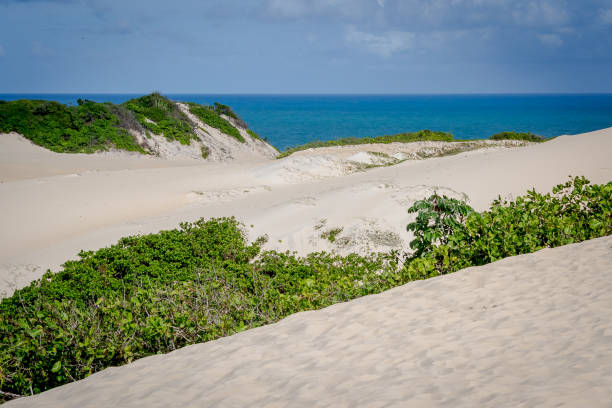 istock Beaches of Brazil - Genipabu RN 1220002532
