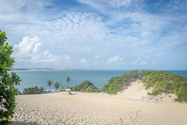 istock Beaches of Brazil - Genipabu RN 1220002545