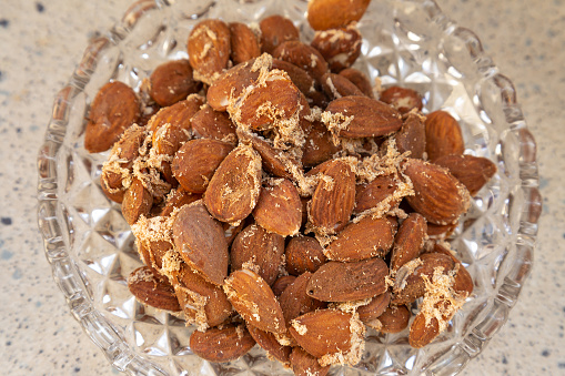 Closeup of idianmeal moths in a jar with almonds