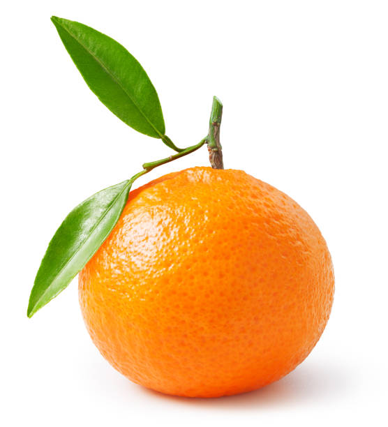 istock Tangerine or clementine with green leaf isolated on white 1220005710