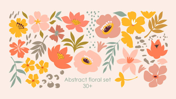bildbanksillustrationer, clip art samt tecknat material och ikoner med uppsättning handritade former och doodle blommiga designelement. exotiska djungelblad, blommor och växter. abstrakt modern modern trendig konst. perfekt för affischer, instagraminlägg, klistermärken. - minimalistisk stil illustrationer