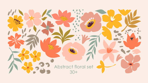 Set of hand drawn shapes and doodle floral design elements. Exotic jungle leaves, flowers and plants. Abstract contemporary modern trendy art. Perfect for posters, instagram posts, stickers. vector illustration floral pattern stock illustrations