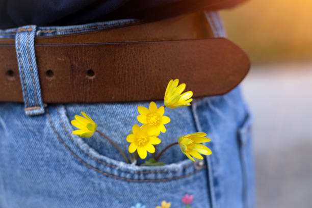 beautiful background. yellow flowers in jeans pocket